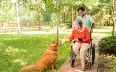 Residencia de ancianos con mascotas: una experiencia saludable de convivencia y apego